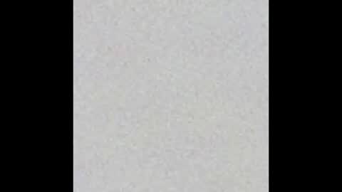 Charlotte online show from September 8, 4:17 pm