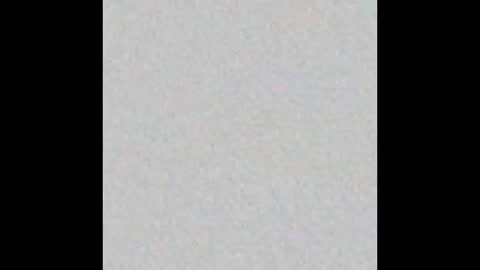 Charlotte online show from February 25, 2:26 pm