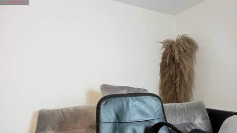 Charlotte  Everyday From 0700 to 1300 Col Time online show from November 9, 12:34 pm