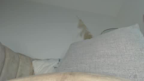 charlottehorny1 online show from September 13, 3:14 am