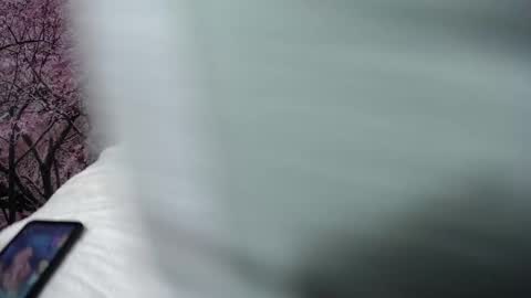 Chikys   online show from October 1, 3:06 pm