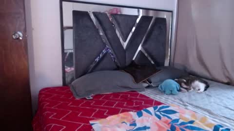 Chloe and Danna online show from April 5, 10:31 pm