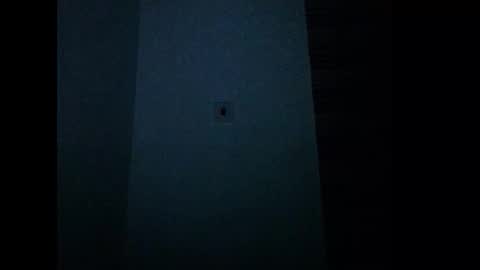 cornxcunt online show from December 22, 11:41 pm