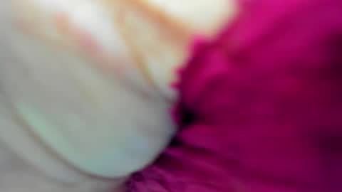 couple_megan_and_jhon2 online show from September 16, 9:56 pm