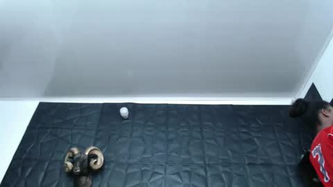 Hanna  online show from February 27, 5:56 am