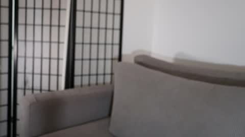 Laura online show from January 17, 9:22 pm