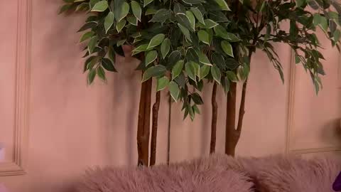 crystallred online show from February 18, 6:23 am