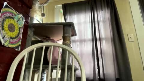 dabqueen_1994 online show from April 4, 5:56 pm