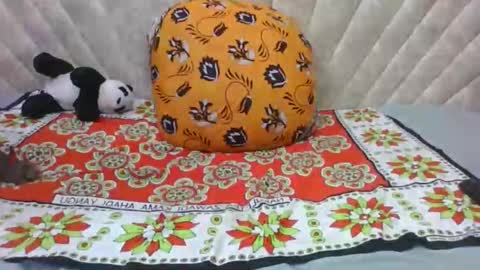 SHANICE online show from September 14, 2:31 am