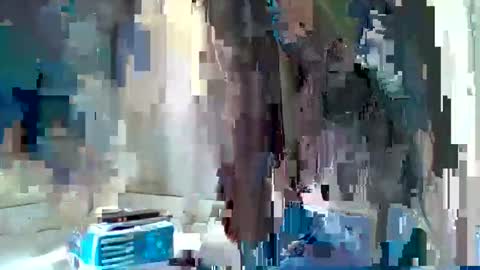 SHANICE online show from January 30, 11:55 am