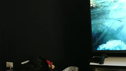 darktanqueen online show from April 2, 2:25 pm