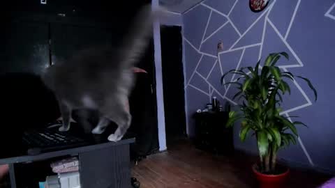 dayanporn online show from October 14, 8:11 pm