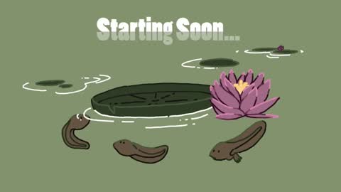 diana online show from December 13, 7:43 pm