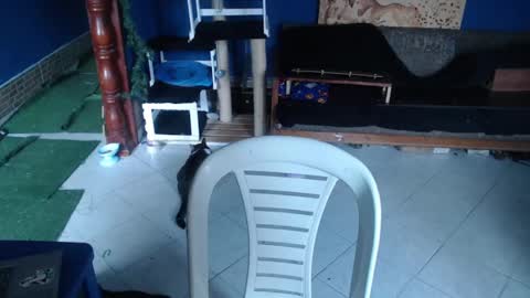 diana online show from February 22, 8:26 pm