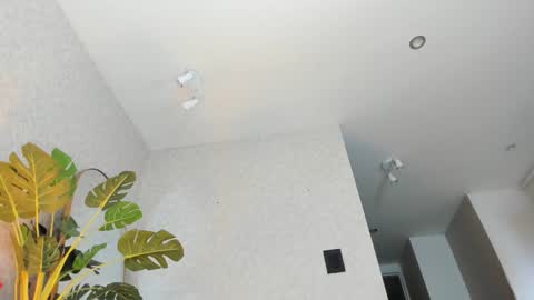 dianac1998 online show from January 5, 9:18 pm