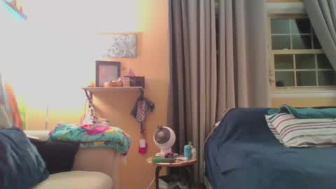 dixie_comanche online show from February 5, 3:34 am