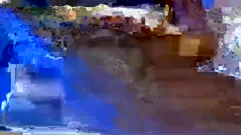 dolly_lioness online show from September 21, 4:16 pm