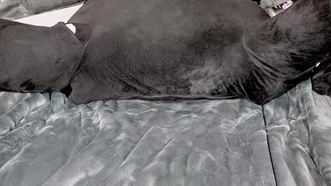 DOOM online show from December 14, 9:56 pm