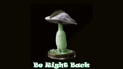 Tara  online show from April 4, 5:28 am