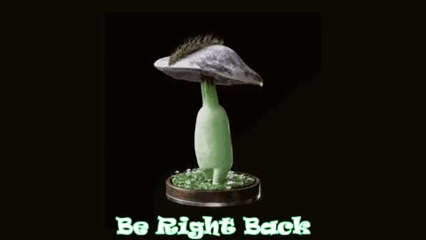 Tara  online show from December 19, 4:05 am