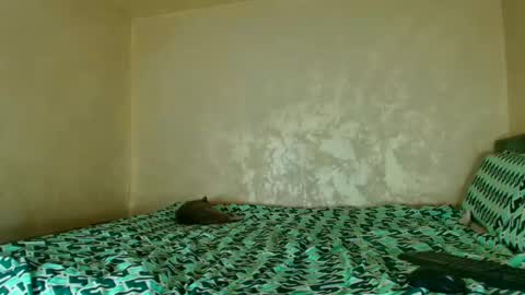 Nomyx  OF check online show from November 14, 6:19 pm