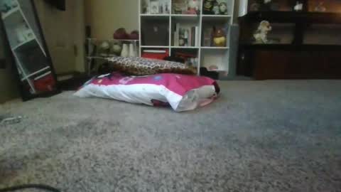 eeveejinxy online show from October 7, 11:31 pm