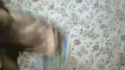 elalia1234 online show from November 18, 2:51 pm