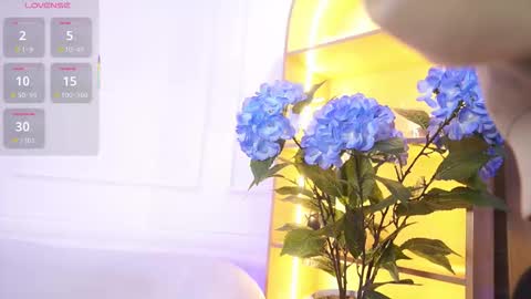 Elasummeer online show from November 19, 11:43 am