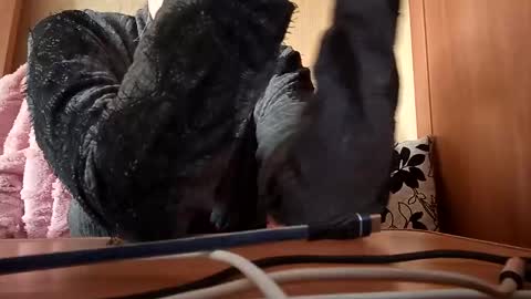 Elza Kom online show from November 15, 7:20 am