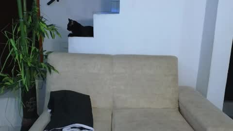 Emma Blue  modelo independiente online show from March 29, 3:49 am