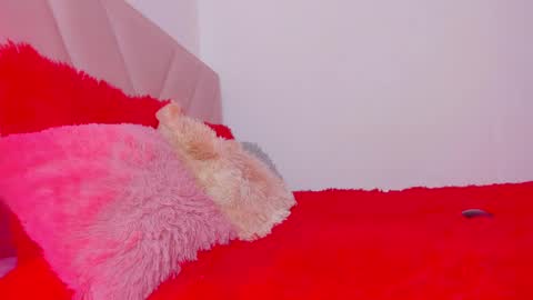 Emy online show from December 12, 2:11 pm