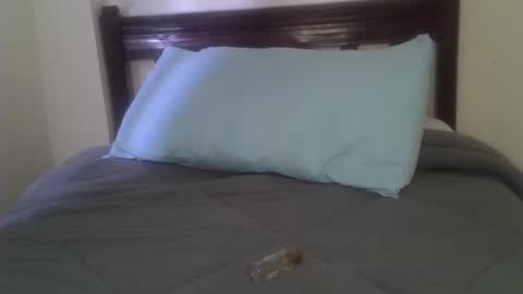 ephy03 online show from September 13, 11:40 am