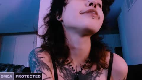 Rainbow on your spoon online show from December 23, 5:00 am