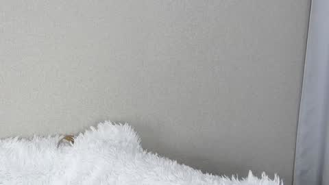 eva varnerr online show from January 13, 8:48 pm