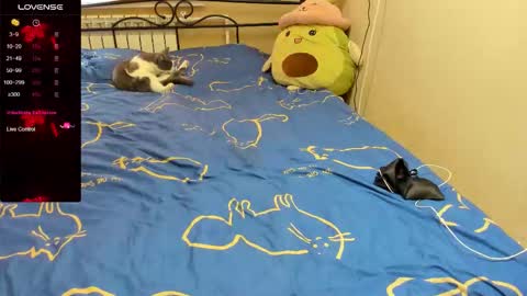 Eva online show from November 2, 10:29 am