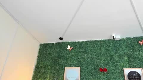  Evangelyne  online show from January 14, 7:19 pm