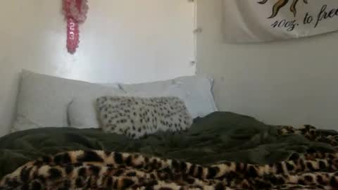 eveexxclusive online show from February 2, 8:41 pm