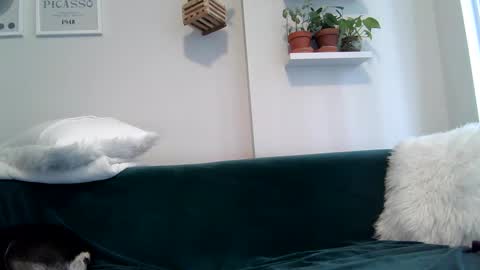 Badblondebunny online show from September 22, 8:51 pm