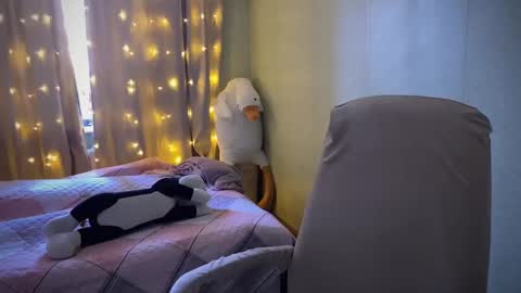 Ilona online show from February 8, 7:04 am