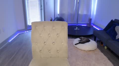 Angel online show from February 28, 3:59 pm