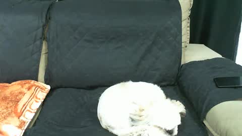 gaby  layla online show from January 21, 9:36 pm