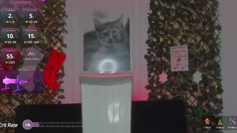 Geminis online show from January 21, 6:54 am