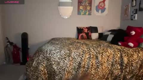 Baby Bimbo online show from June 5, 5:00 am