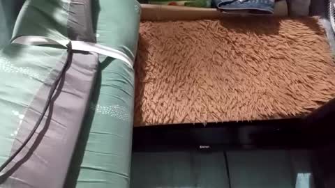 GorgeousPinay babe online show from March 3, 9:48 am