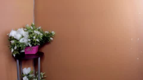 hadelyn_lee online show from May 5, 3:53 am