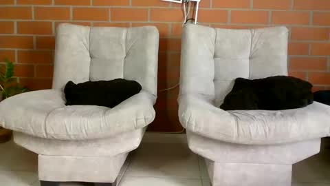 hanna online show from January 20, 6:32 pm