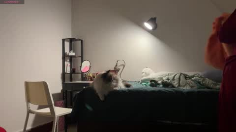 amy online show from October 19, 2:52 pm