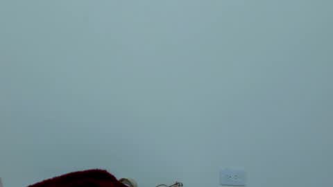 Eva online show from February 21, 1:55 pm