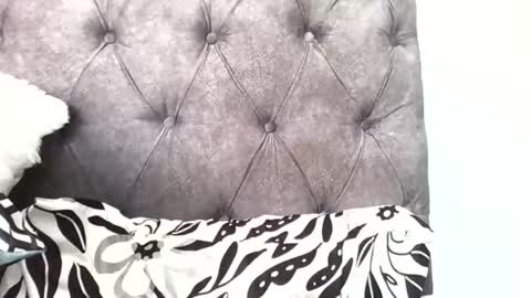 priya online show from February 16, 7:41 am