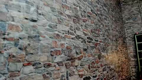 Ivis  online show from February 10, 11:25 am